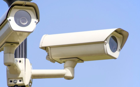 Licenciatura en Criminología y Seguridad