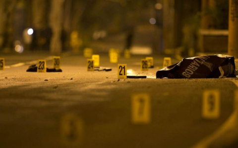Tecnicatura en Investigación de la Escena del Crimen